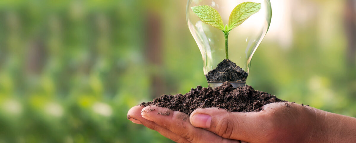 Energia verde o sostenibile? Usarle entrambe è la scelta migliore per il nostro pianeta!