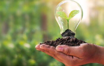 Energia verde o sostenibile? Usarle entrambe è la scelta migliore per il nostro pianeta!